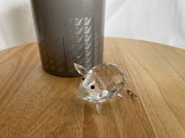Swarovski Figur Schwein 010031 mit OVP