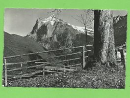 Grindelwald - Wetterhorn