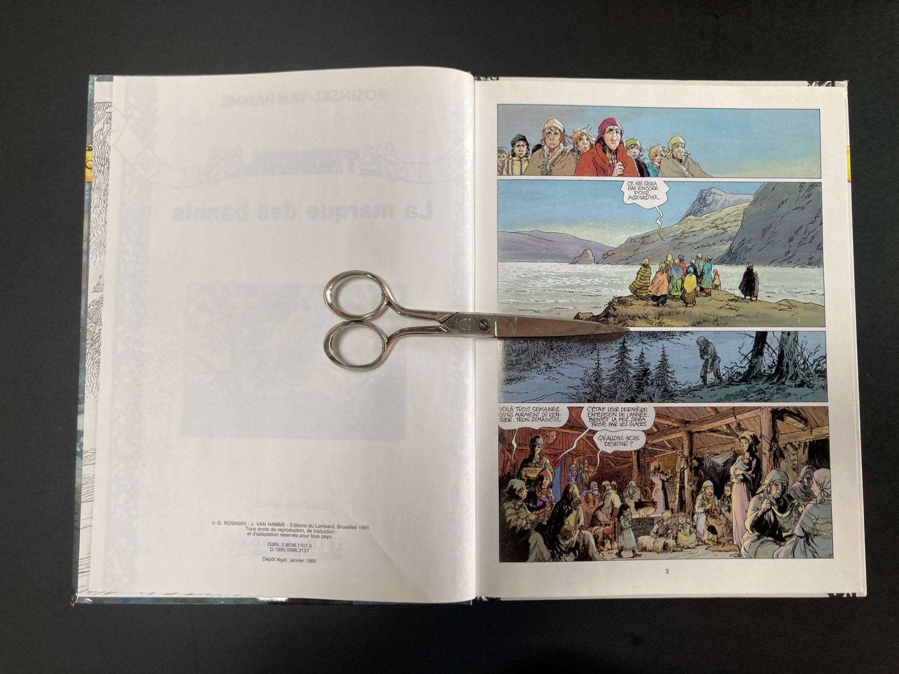 Fumetti: THORGAL - T20 - La marque des bannis – Usato da Romanel-sur-Lausanne venduto da seb_9c2t 2