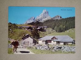 AK Partie bei Braunwald Glarus Kuh Eggstöcke
