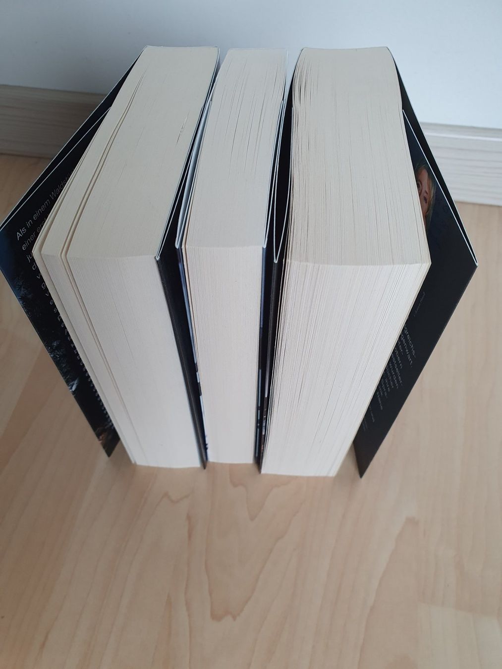 Bücher: 3x Charlotte Link Krimi Thriller – Neu (gemäss Beschreibung) aus Ernetschwil von Cob1998 3