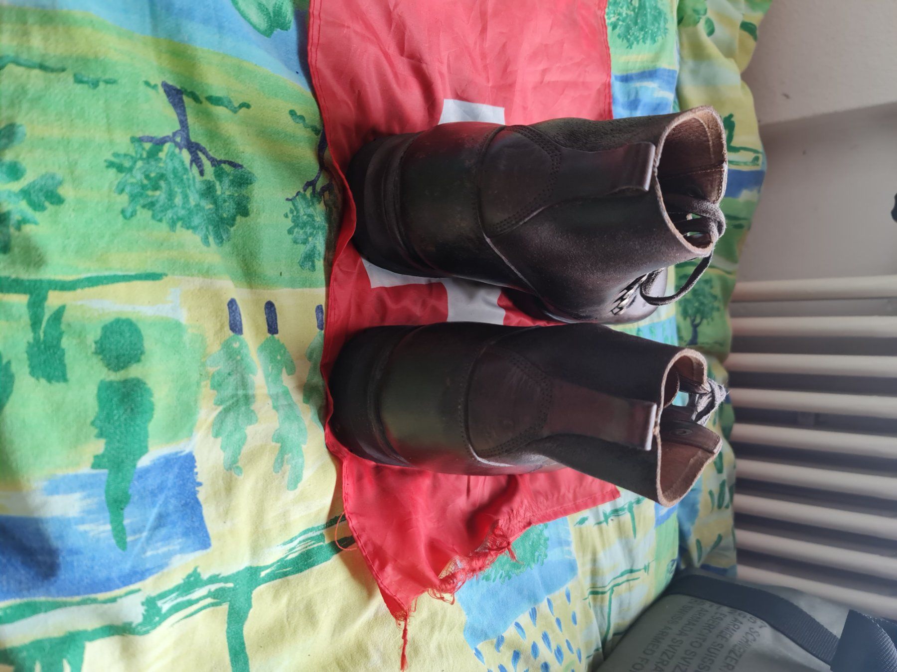 Schweizer Armee Scarpe da uomo: Gebirgsschuhe – Usato da Sins venduto da tomeks 2