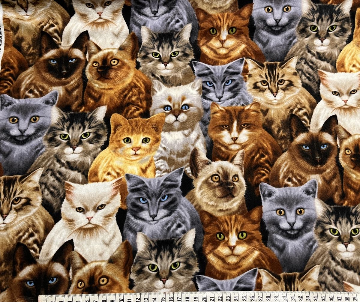 Stoffe: Patchworkstoff Flannel Katzen – Neu (gemäss Beschreibung) aus Seuzach von KreativmitStoff 1