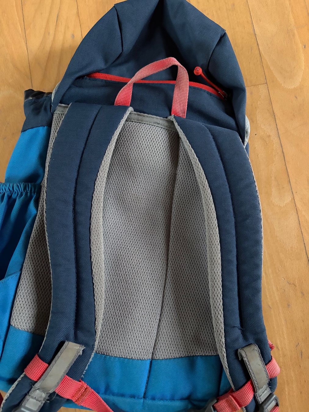Deuter Borse & Zaini: Deuter Kinderrucksack Schmusebär – Usato da Niederlenz venduto da Privatverkauf02 1