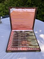 Seltene Messer ,12 Stk. Rostfrei (11)