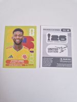 Panini Sticker COL10