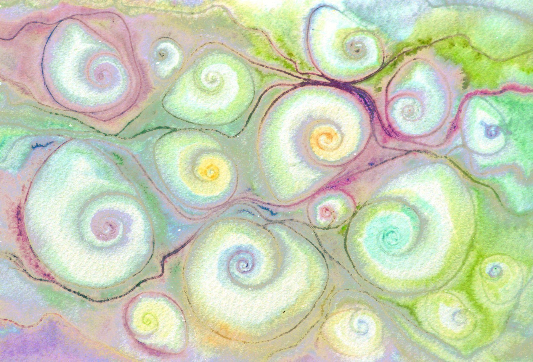 Dipinti: Aquarell Muschelkomposition – Nuovo (secondo la descrizione) da Rietheim venduto da agnieszka1150