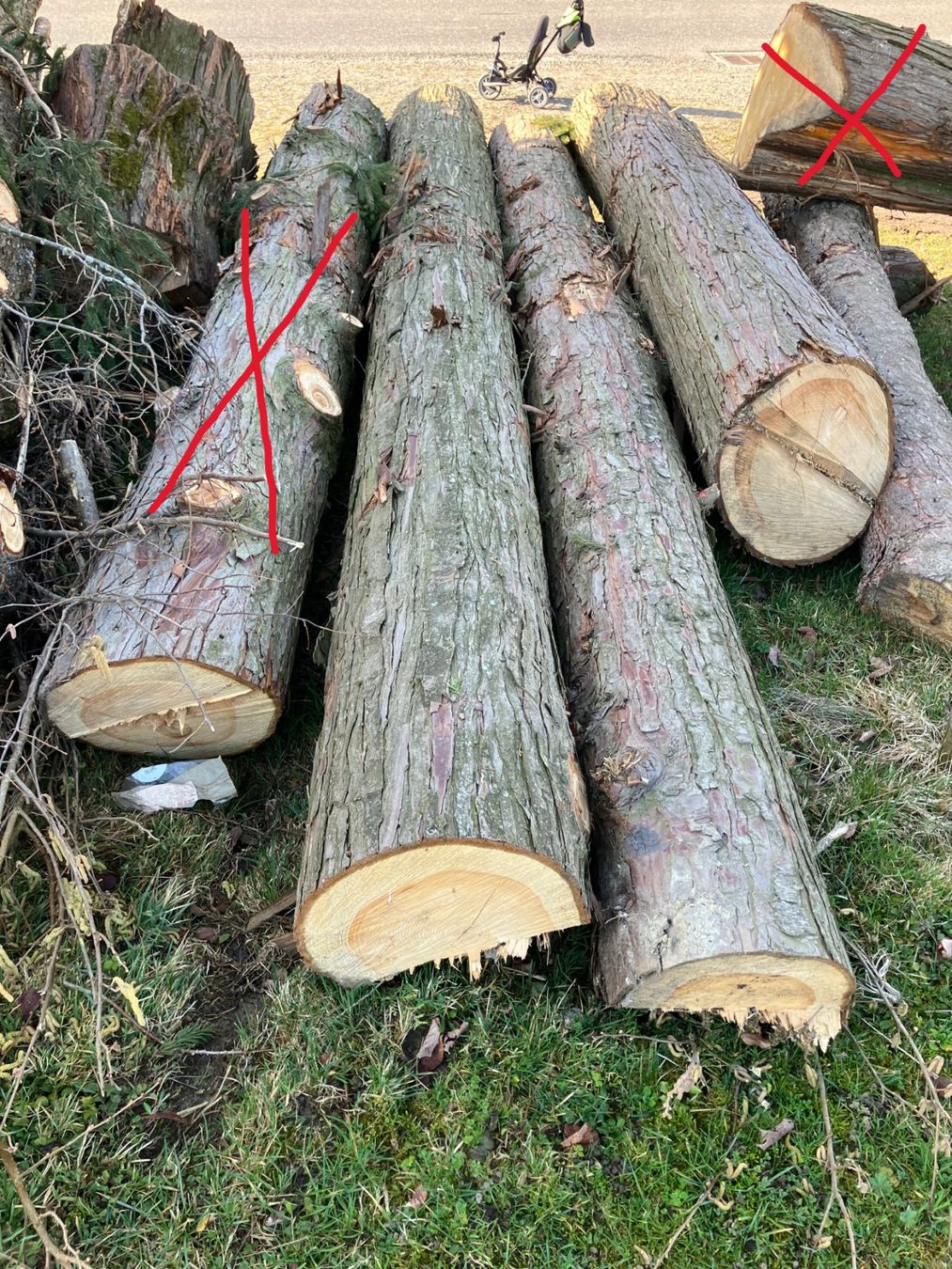 Articles en bois: Tuja - Holzstämme – D'occasion à Allenwinden par Bierschlucker 2