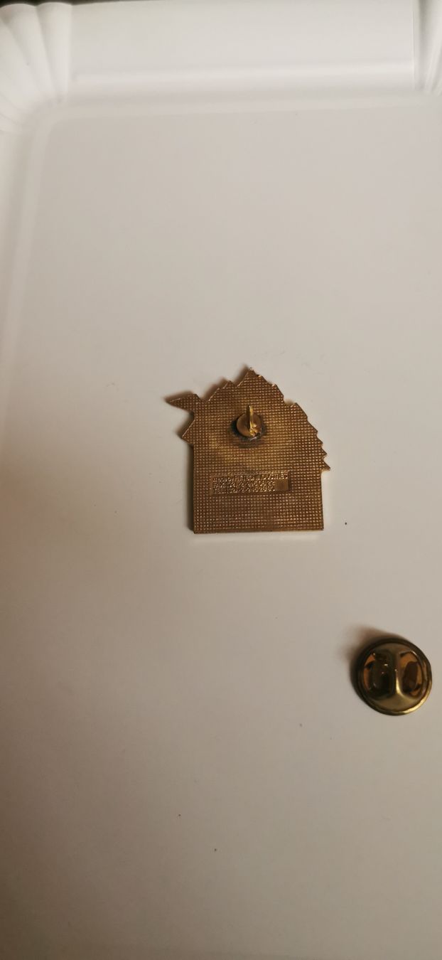 Placchette & Badge: Pin Kodak  – Usato da Genève venduto da vins50 1