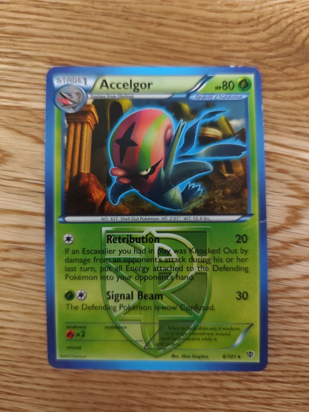 Pokémon Carte collezionabili: Pokemon Accelgor Black & White Plasma Blast non holo – Nuovo (secondo la descrizione) da Winterthur venduto da SMOKY062