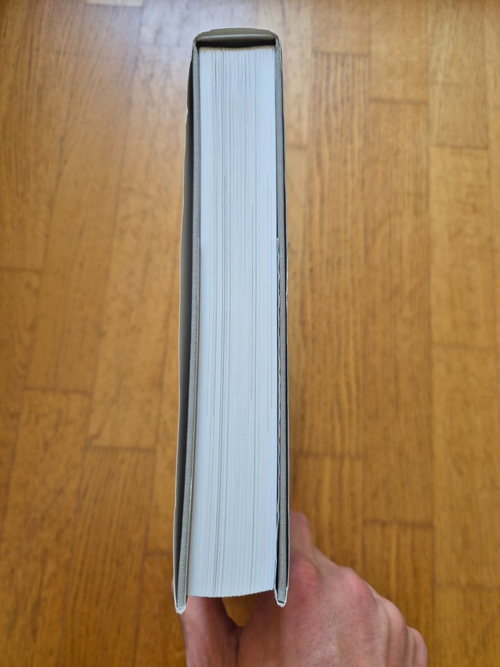 Bücher: Kochbuch Bap & Figl – Gebraucht aus Opfikon von Steins_Siedlung 2