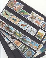 Italien 1994 mit ET