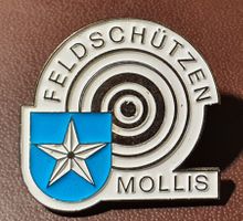 T245 - Pin Feldschützen Schützen Mollis Glarus