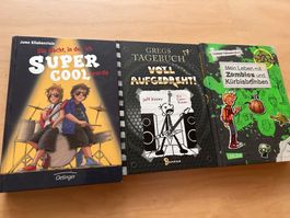 3 Jugendbuecher Gregs Tagebuch und weitere gebraucht