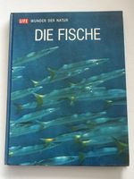 LIFE Wunder der Natur: Die Fische – Tolles Sachbuch!