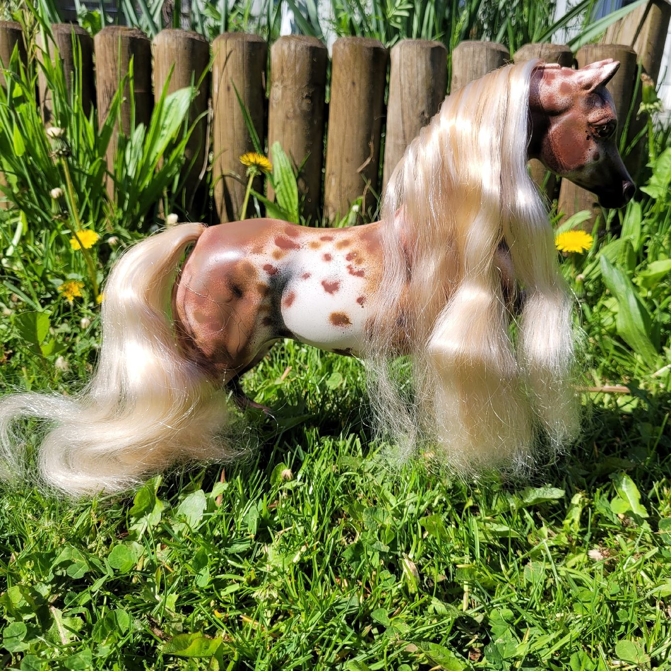 Giocattoli: Barbie Pferd Savanna Repaint/Unikat – Usato da Niederbuchsiten venduto da klengyel 1
