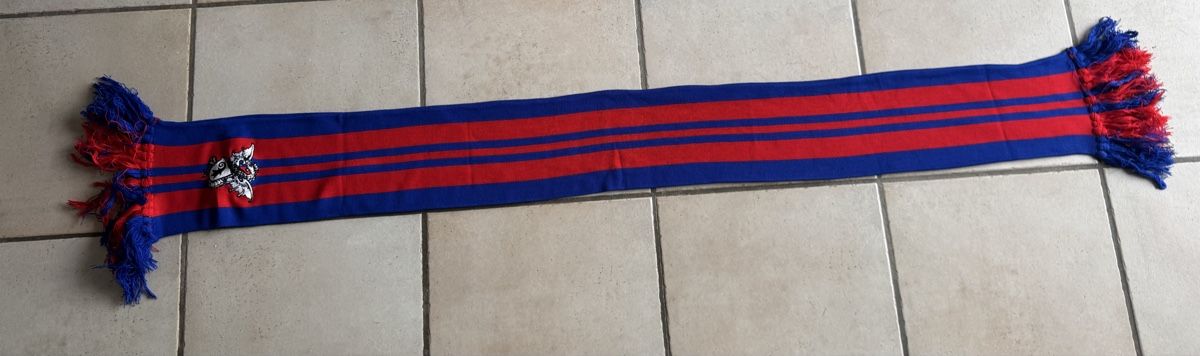 FC Basel Foulard & Sciarpe: Fc Basel 1893 Schal  – Usato da Lenzburg venduto da Meister_k