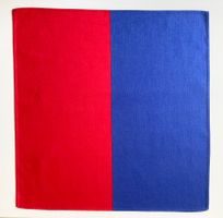 TISCH-SET od. UNTERSETZER TESSIN / TICINO von FISBA