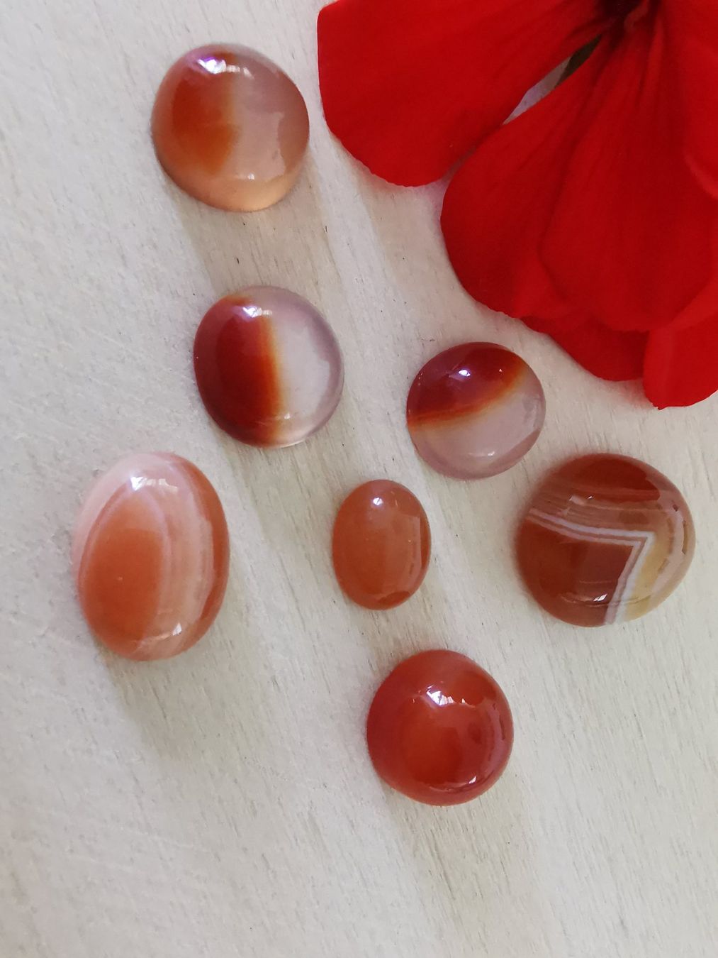Mineralien & Heilsteine: 7 Stk. diverse Karneol Cabochon / Lager-Sondererkauf – Neu (gemäss Beschreibung) aus Dierikon von Buntspecht-10 1