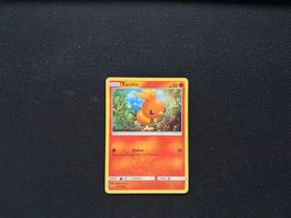 Torchic 25/168