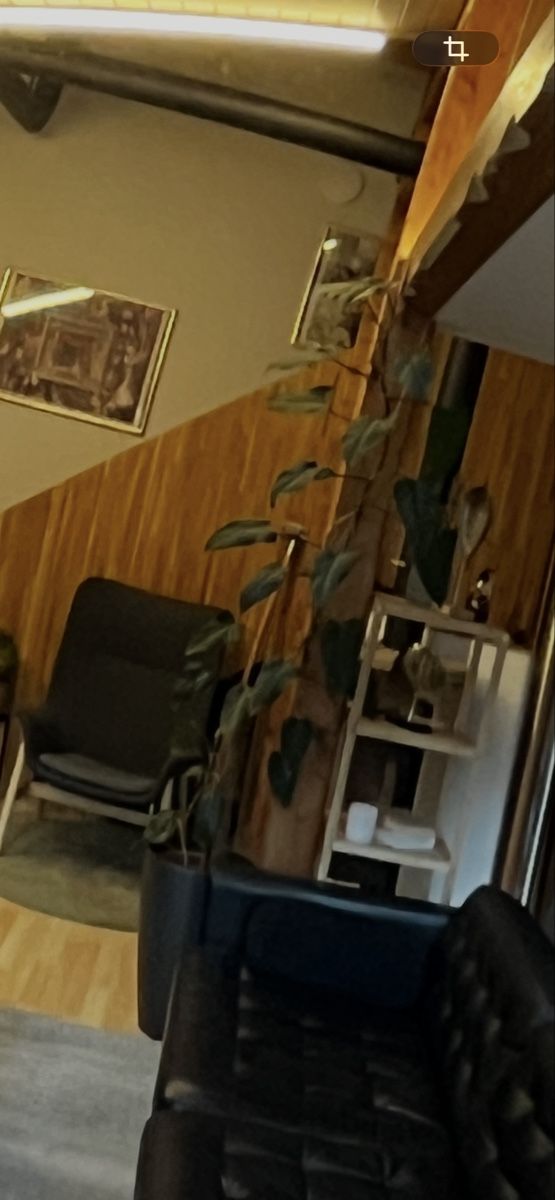 Pflanzen & Samen: Philodendron Pflanze, 2m hoch – Gebraucht aus St. Gallen von ZOKo 1
