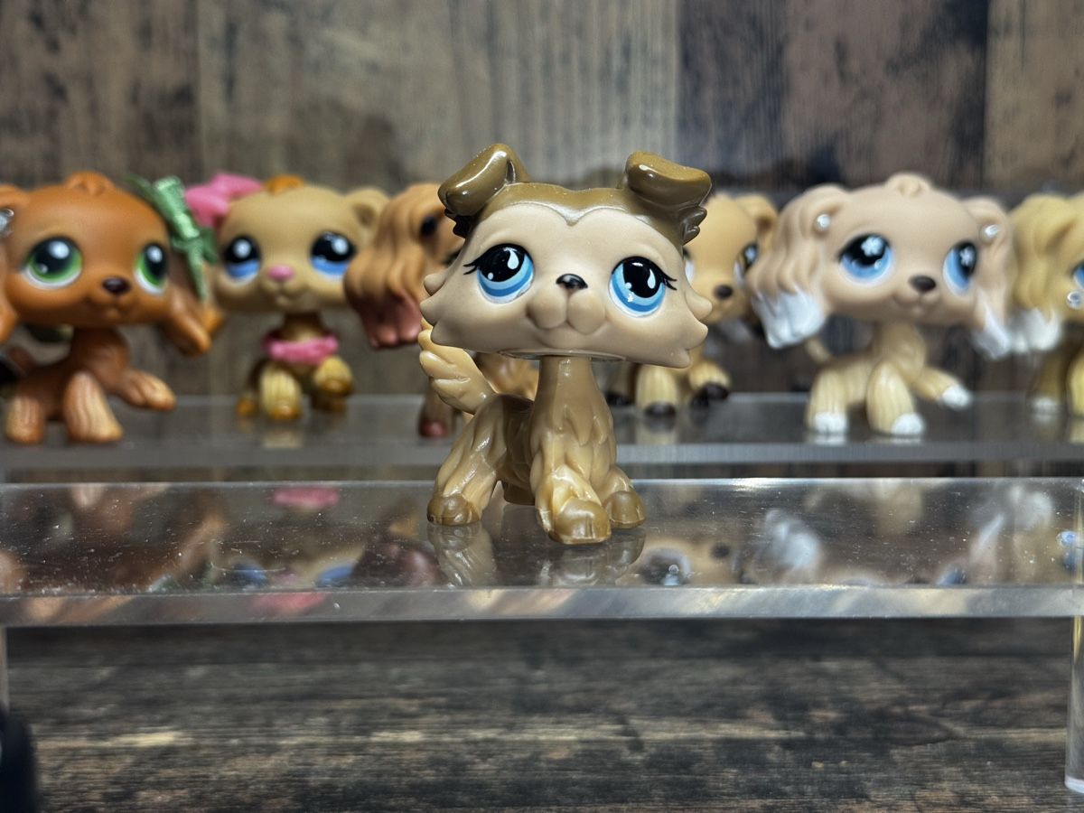 Hasbro Spielzeuge: Littlest pet shop Collie – Gebraucht aus Luzern von Maja.C
