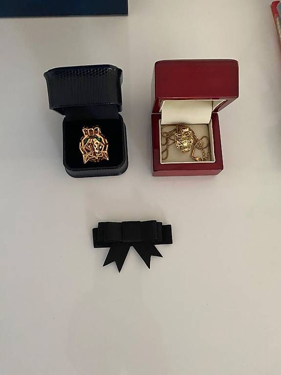 Ciondoli: Pantere ring e ciondolo con catena – Usato da Lugano venduto da dir_5287 3
