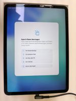 Apple iPad Pro 11 Zoll Defekt - Displaybruch & Beschädi...