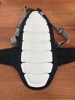 Dainese Rückenpanzer/Rückenprotektor