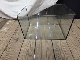 mini Terrarium