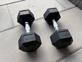 Hex Dumbell 12 kg
