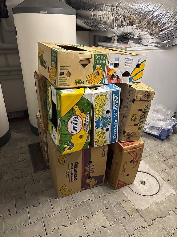 Cartoni: 14 Bananenschachteln – Usato da Aarau venduto da aargauer88