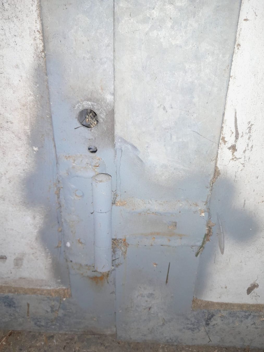 Porte: Stalltür – Difettoso da Walchwil venduto da Gurugutier 1