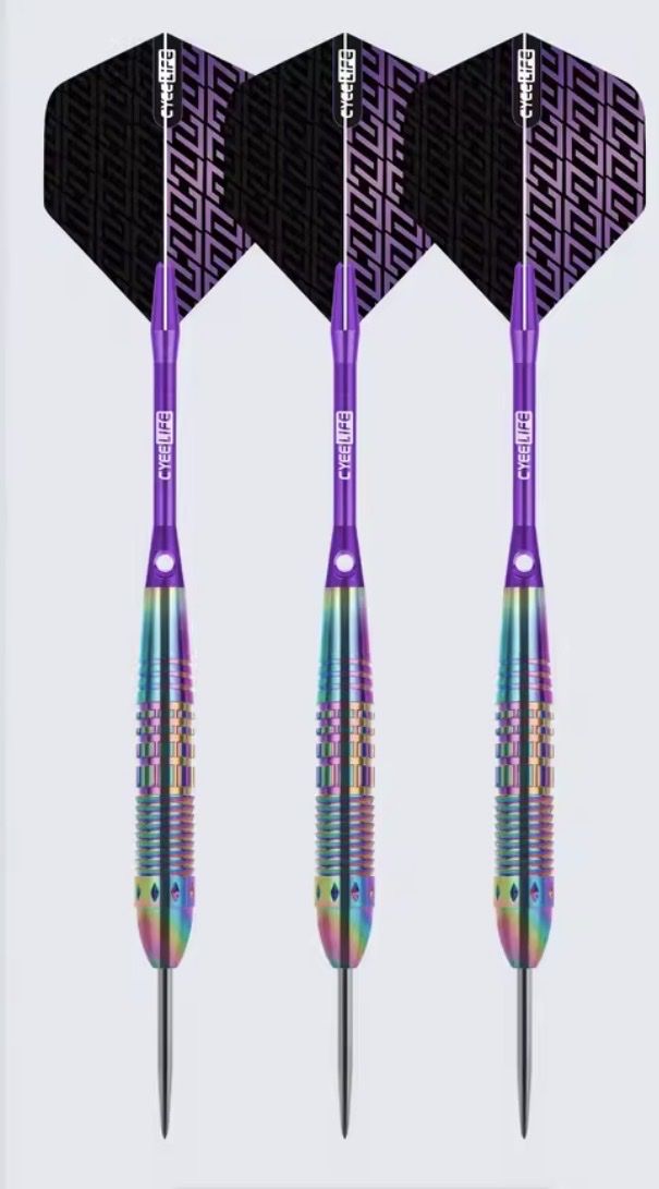 Jeux de fléchettes: Dartset 25g mit Case – Neuf avec emballage d'origine à Arbon par SMjr11 1