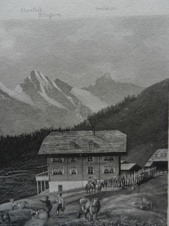 Incisioni: Mürren Jungfrau – Usato da Risch venduto da Rischli15 6