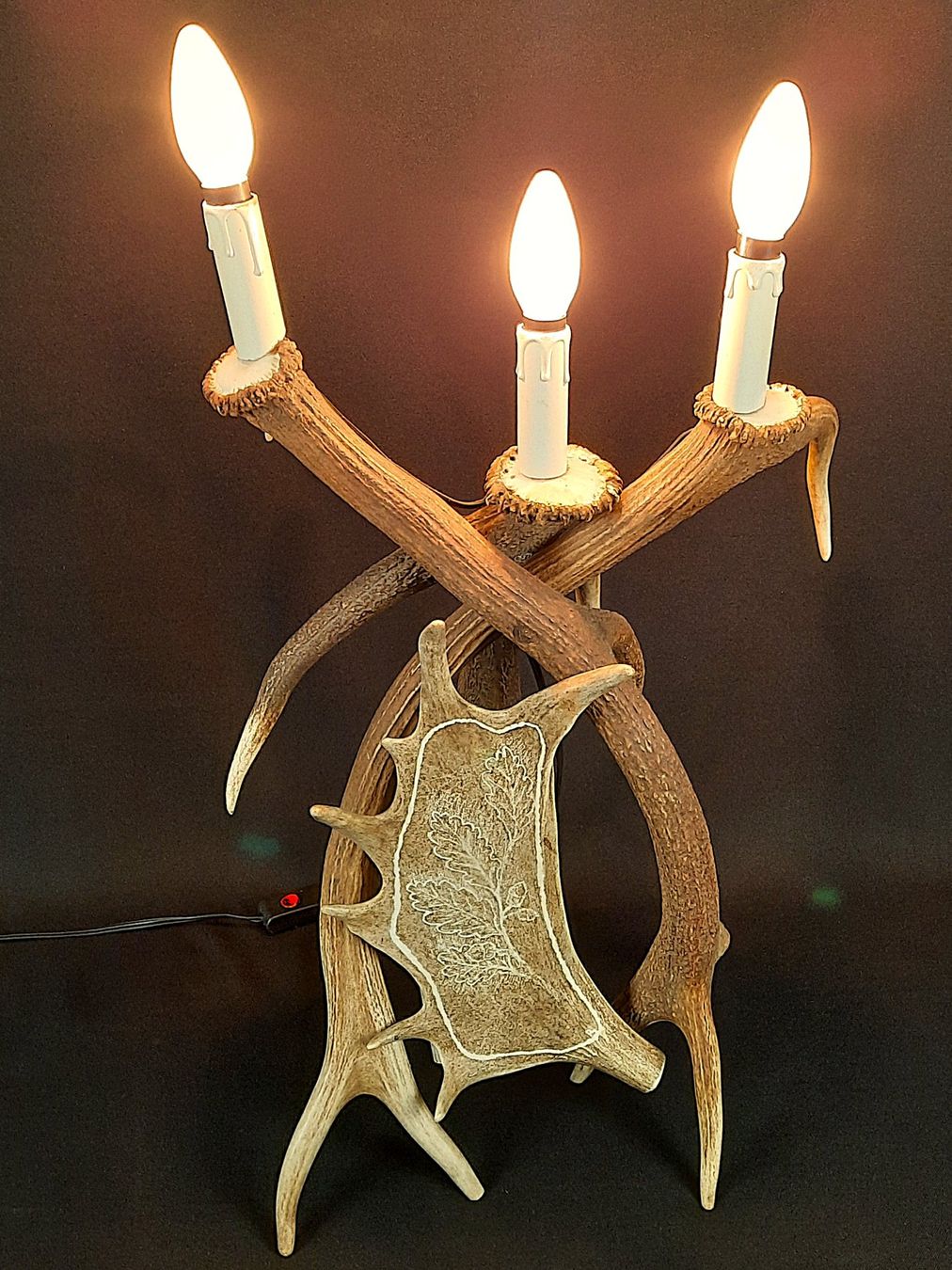 Lampade: Rustikale Geweihlampe, Eichenblatt-Gravur-Unikat – Usato da Beinwil am See venduto da Restwert_Beinwil