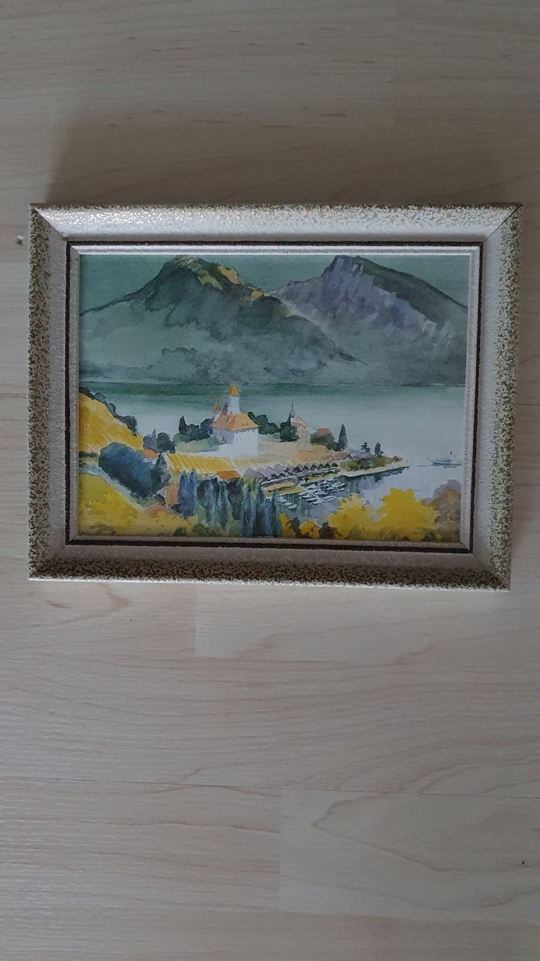 Foto & Immagini: Bild von Knud Jacobsen (Thunersee) – Usato da Ittigen venduto da Searay
