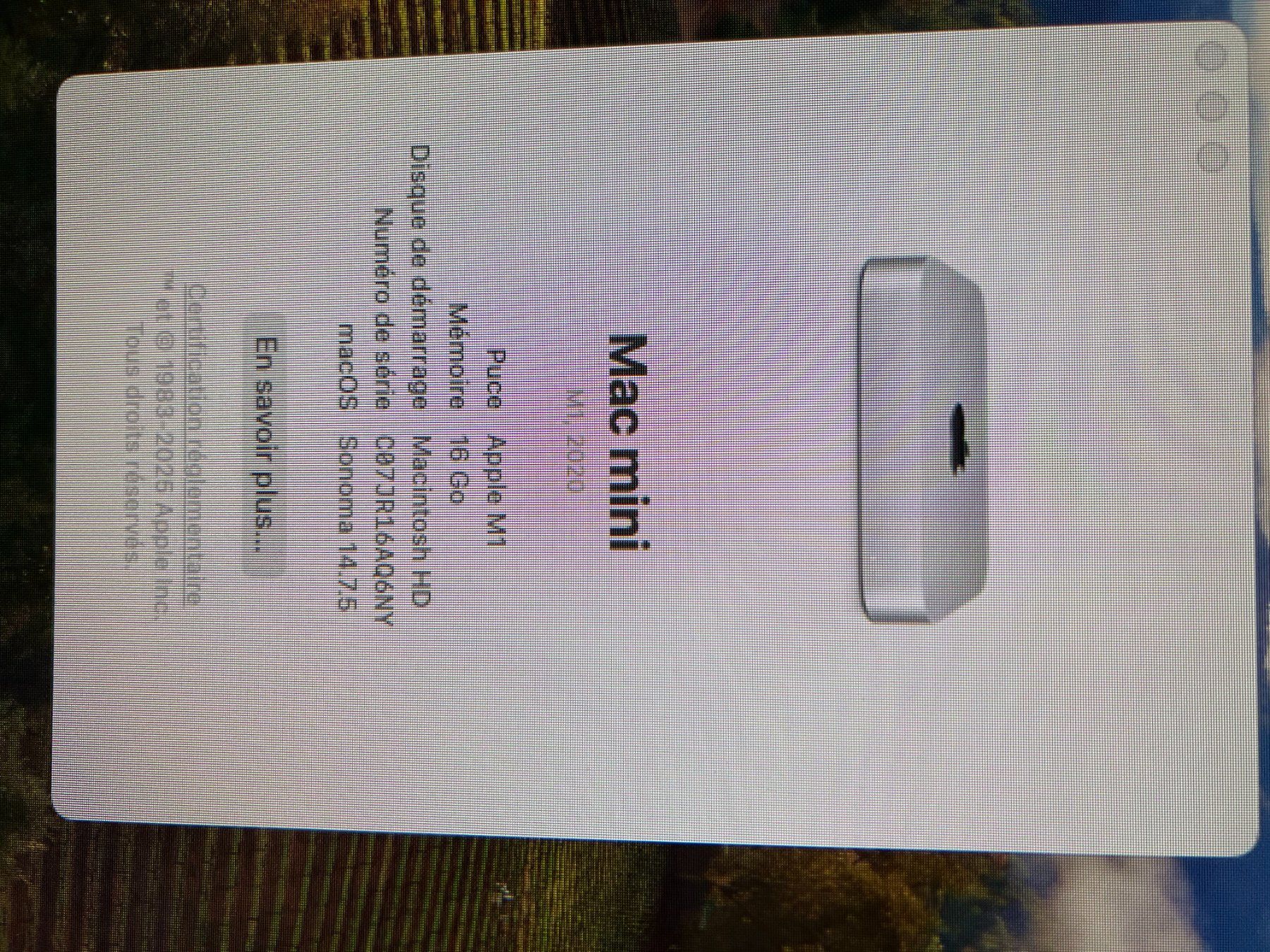 Apple PCs: Mac Mini M1 2020 – Gebraucht aus Bassecourt von Migry 2