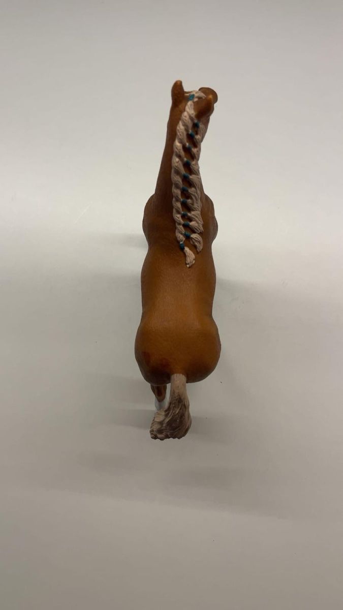 Welt der Tiere: Cheval shleish en bon état  – Gebraucht aus Avenches von Rose-rose 3