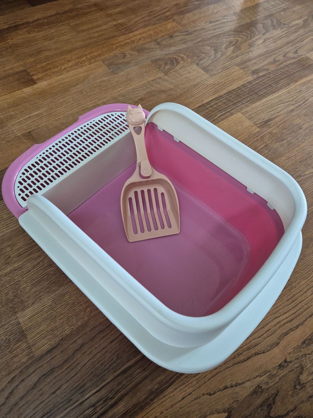 Cucce & Letti: Kitten litterbox new – Nuovo (secondo la descrizione) da Zürich venduto da monadiederich 1
