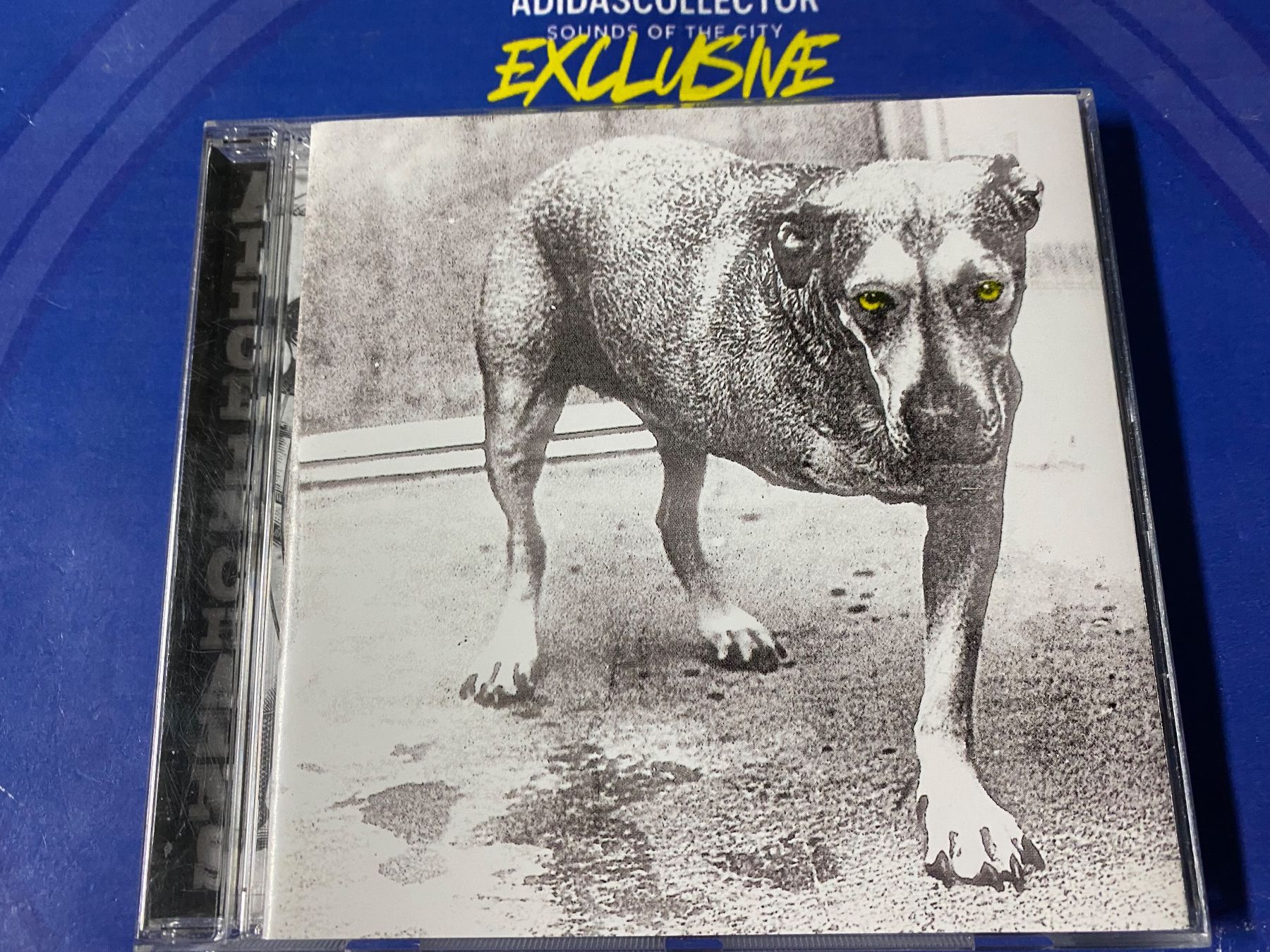 CDs: Alice In Chains – Gebraucht aus Muri b. Bern von AdidasCollector