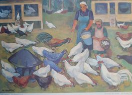 Schulwandbild Geflügelhof Hans Haefliger 1962 Hühner /duTi