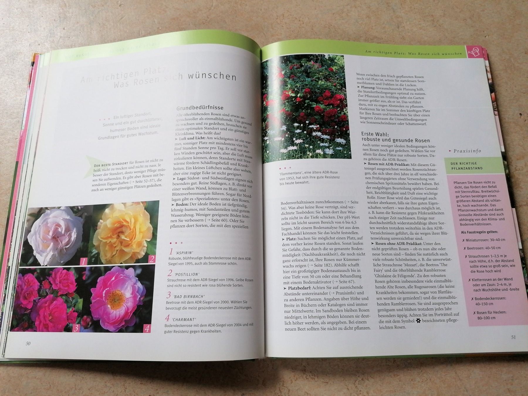 Libri: Rosen GU – Usato da Klingnau venduto da vollmond36 5