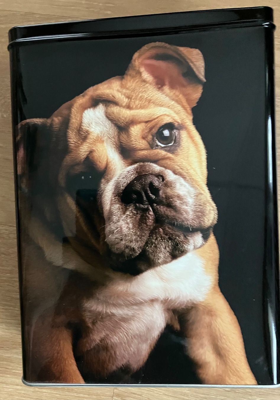 Sucriers: Blechdose mit Hundeportrait Boxer – Neuf (Voir description) à Magden par Anthurium11