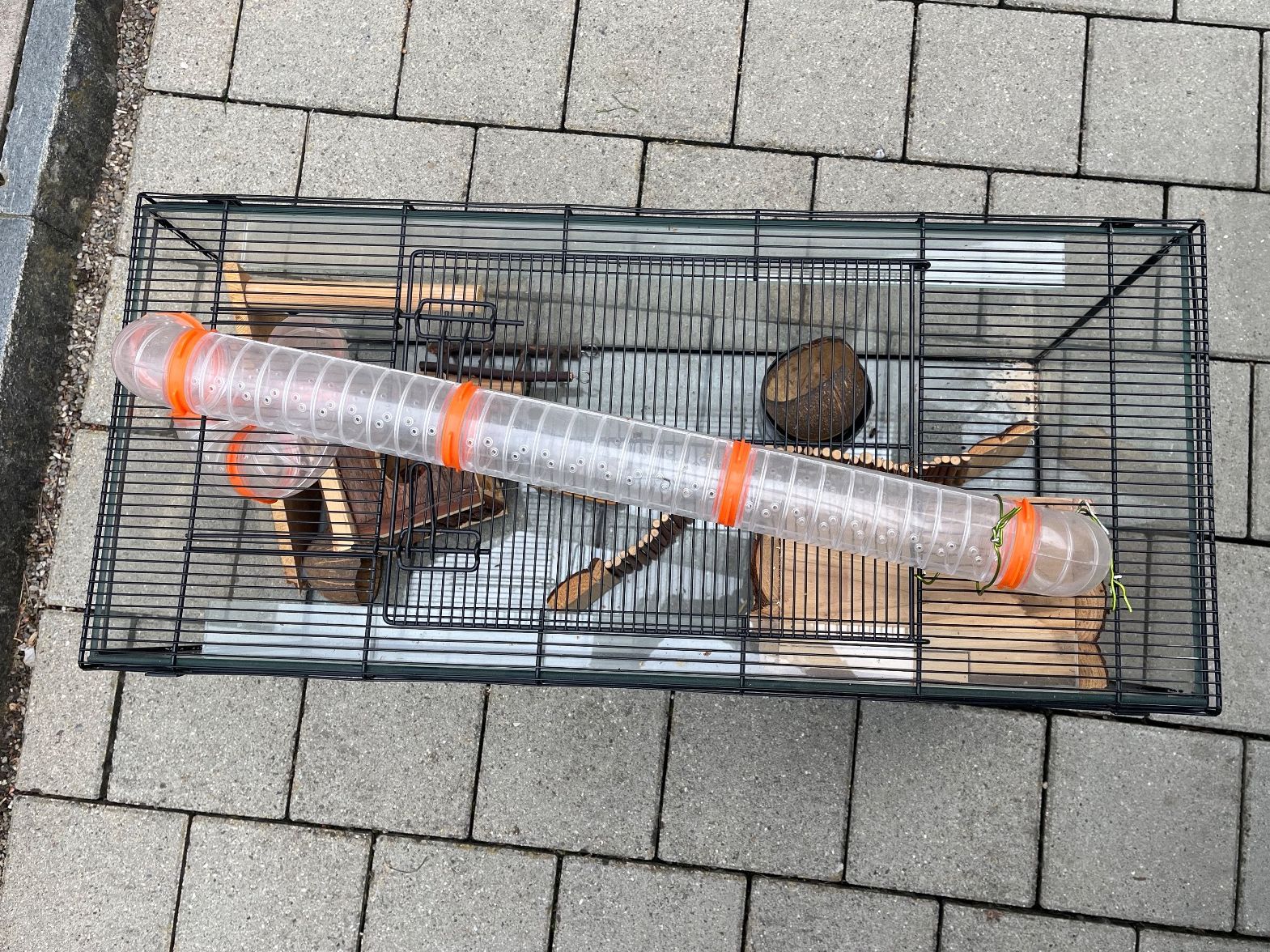 Gabbie, trasporto & Sicurezza: Hamsterkäfig – Usato da Freidorf TG venduto da ern_7s68 1