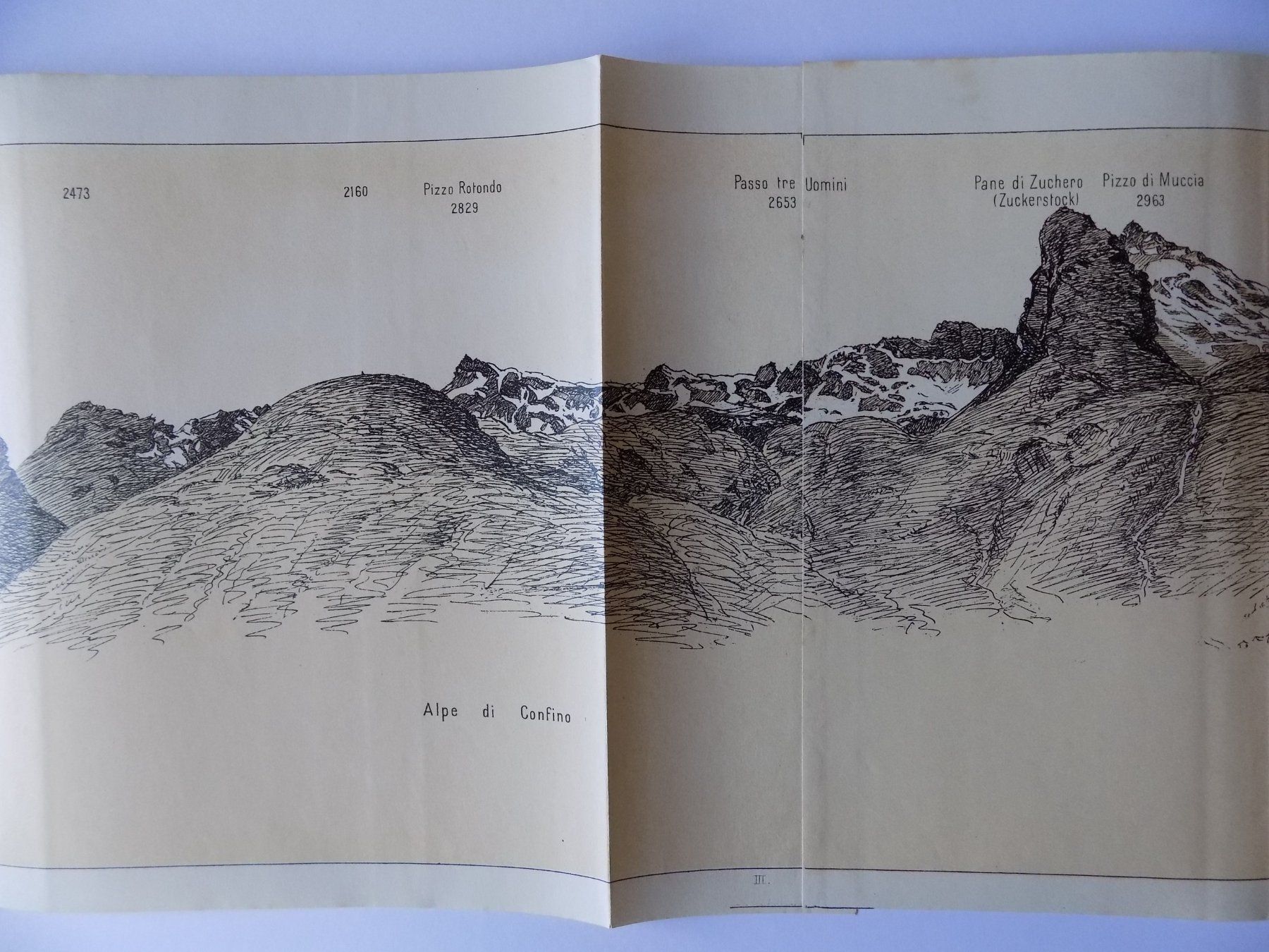 Incisioni: Panorama der Misoxer Alpen 1904 – Usato da Risch venduto da Antikfee 4