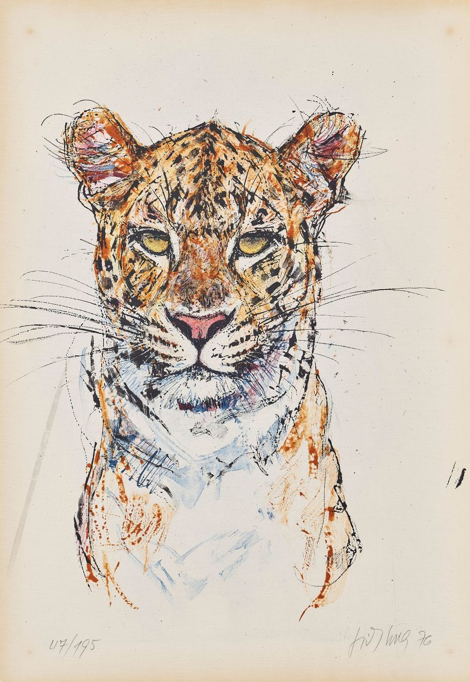 Grafiken & Lithographien: Hug Fritz "Leopard" mit Bleistift handsigniert nummeriert – Gebraucht aus Siebnen von Kareno