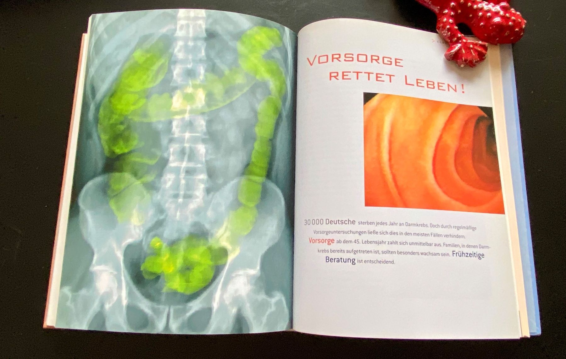 Bücher: GESUNDHEIT AUS DEM DARM – Gebraucht aus Nussbaumen AG von schuba2000 6