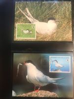 WWF Benin 1989 Rosenseeschwalbe Satz Maximumkarten