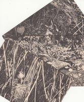Realschule Basel 3. Naturschutztag 1914, 3 Vogel-Karten